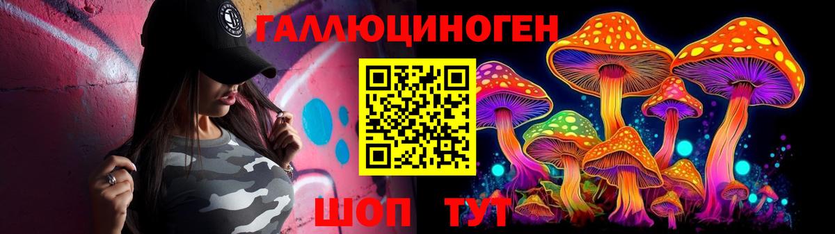 Псилоцибиновые грибы GOLDEN TEACHER  Вход с VPN  Дальнереченск  Псилоцибиновые грибы MAGIC MUSHROOMS 